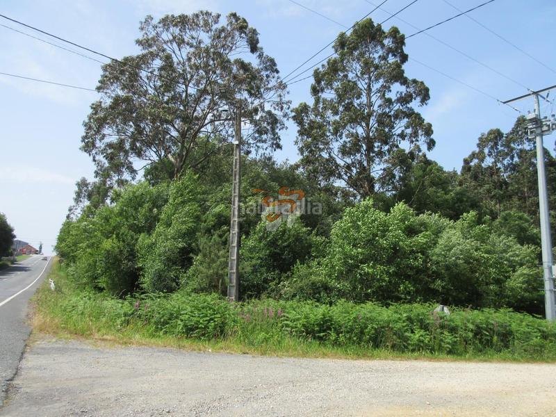Foto e78f40e3-4d0f-48f4-bb05-31fb9263b3e5. Terreno residencial en Valdoviño