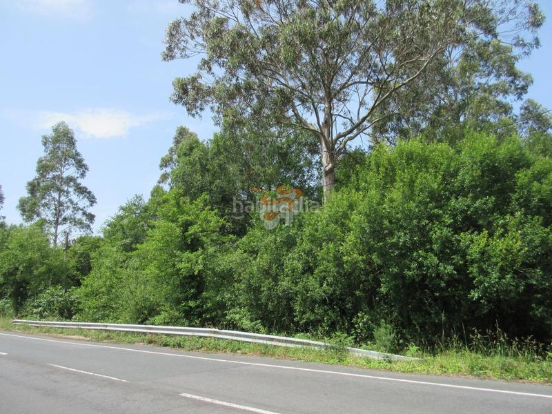 Foto 6e3762bb-8880-4f96-8b26-06f8800c109b. Residential plot in Valdoviño