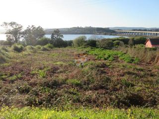 Wohngrundstück in Neda