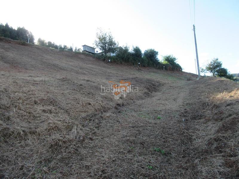 Foto ecdb784a-f53e-4464-8f69-bdb6dfa8c84c. Residential plot in San Mateo - Castro - O Val Narón