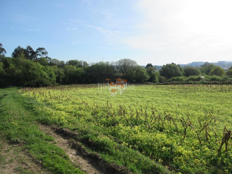 Foto dbbe309b-30c3-4aa5-a67a-7b9f76c6b94a. Finca rústica en A Gándara Narón