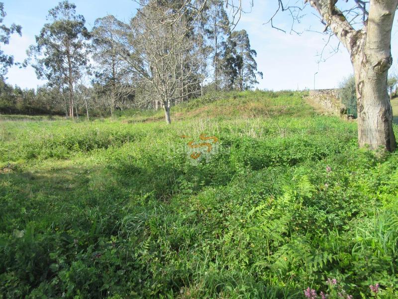 Foto 5b508594-b889-4a74-8064-3206d7185734. Masía en Área Rural Ferrol