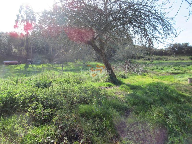 Foto 8ab5b6be-3df8-420f-85db-eb2bca498c11. Masía en Área Rural Ferrol