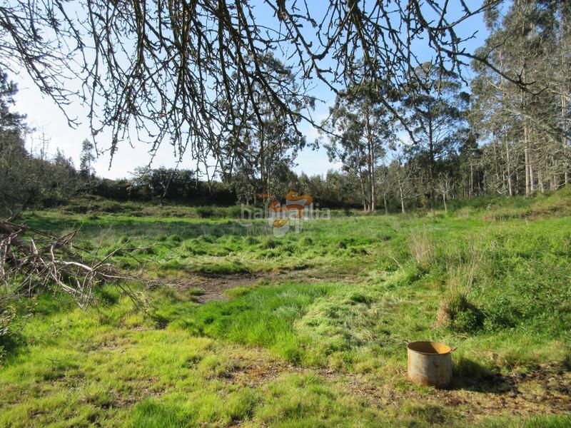 Foto e1e299ae-260c-4dc2-9c3f-54982e7a8eff. Masía en Área Rural Ferrol