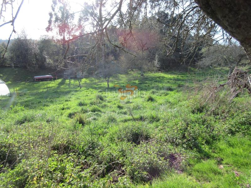 Foto e42ca891-adb4-4376-9126-3f4423e780d5. Masía en Área Rural Ferrol