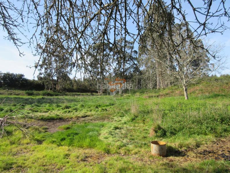 Foto eb238b48-7f83-4ff8-b3a3-30cb17b04603. Masía en Área Rural Ferrol
