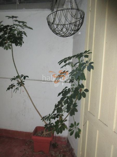 Foto 50e4b600-a802-4ea1-9f91-032a0c4ca345. Local comercial a Zona Ultramar Ferrol