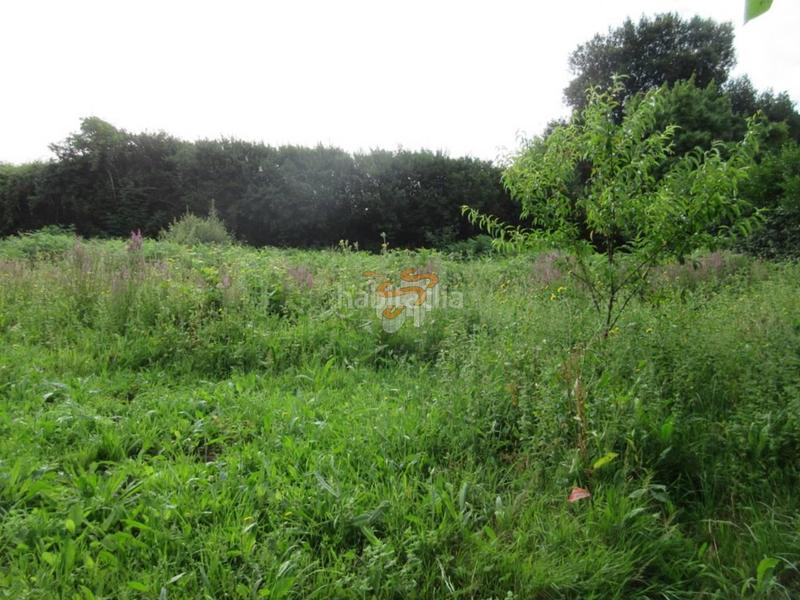 Foto e2dbeef2-4bb1-43d8-978b-f82a8cc11862. Landgut in A Malata - Catabois - Ciudad Jardín Ferrol