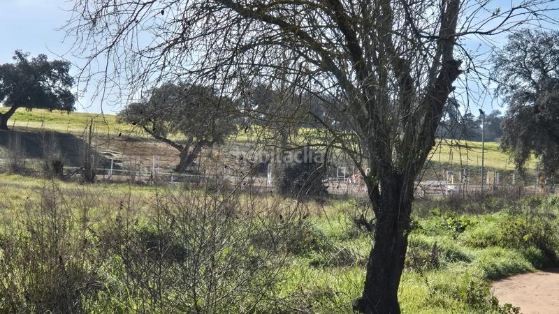 Foto 18585517-a4c8-4df0-8775-3412137a8344. Fondo rustico in Dehesilla de Calamón - Campomanes Badajoz