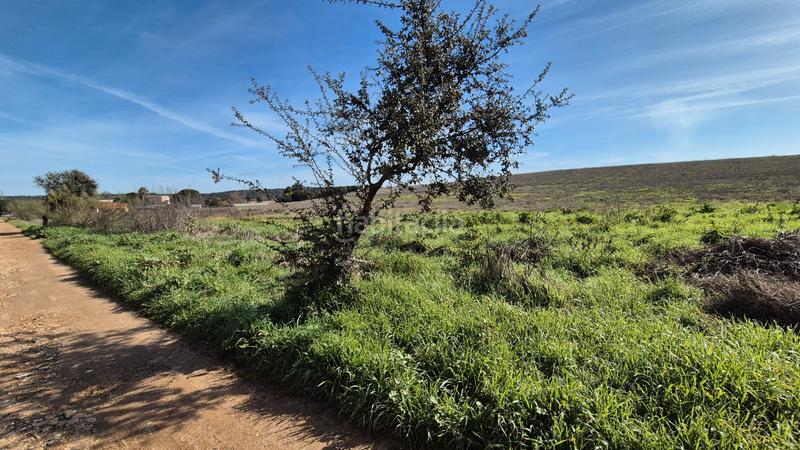 Foto 1ce5ef61-bfca-4d7a-b899-a39e23e0f761. Fondo rustico in Dehesilla de Calamón - Campomanes Badajoz