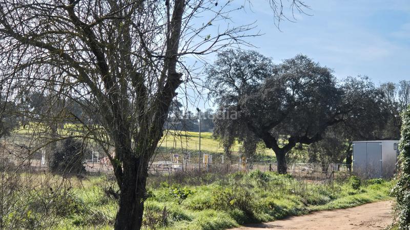 Foto 2611956f-6e5e-4bdc-b0b3-88185d00aefa. Fondo rustico in Dehesilla de Calamón - Campomanes Badajoz