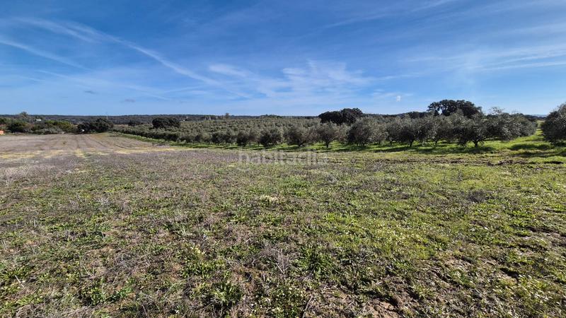 Foto 70197b73-77f3-496e-8584-92ddf87a5509. Fondo rustico in Dehesilla de Calamón - Campomanes Badajoz