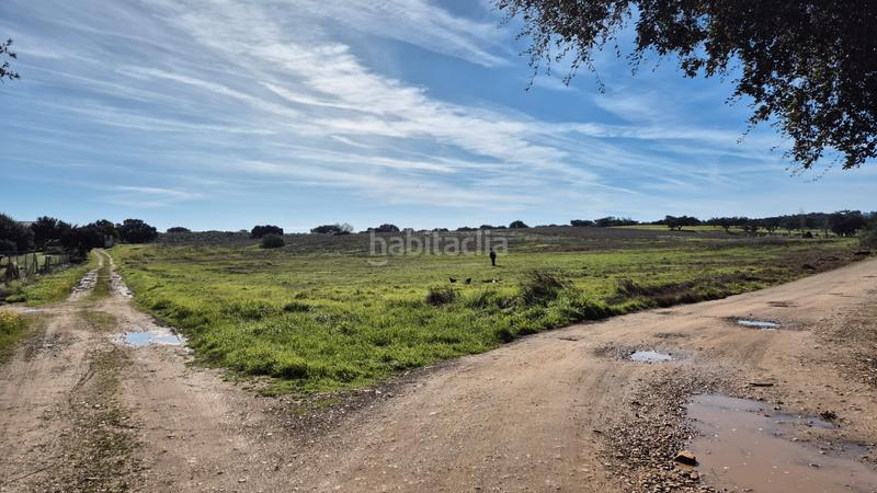 Foto 77b64d78-5d11-4853-a7f2-c9ac2d0ab283. Fondo rustico in Dehesilla de Calamón - Campomanes Badajoz