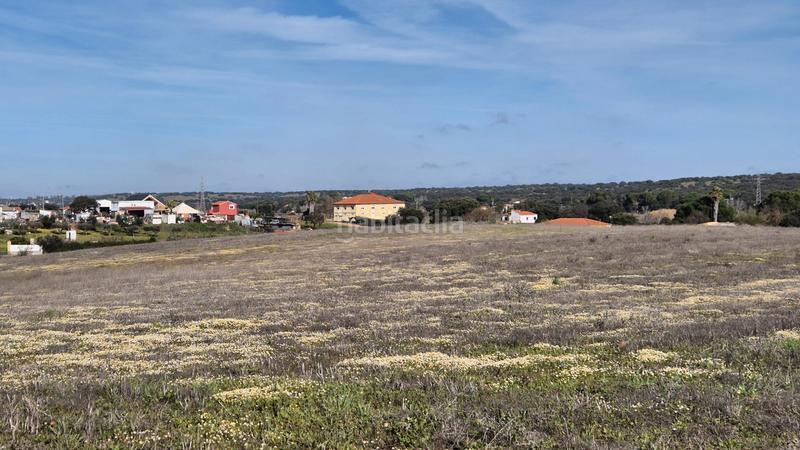 Foto 85f410c3-1317-4cda-b92a-897e8859990c. Fondo rustico in Dehesilla de Calamón - Campomanes Badajoz