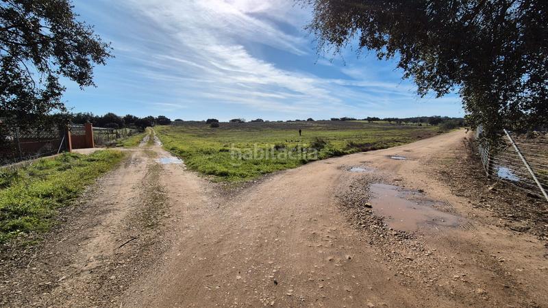 Foto 99055f75-ebb2-4c0e-8b32-ed06ab8abf3d. Fondo rustico in Dehesilla de Calamón - Campomanes Badajoz