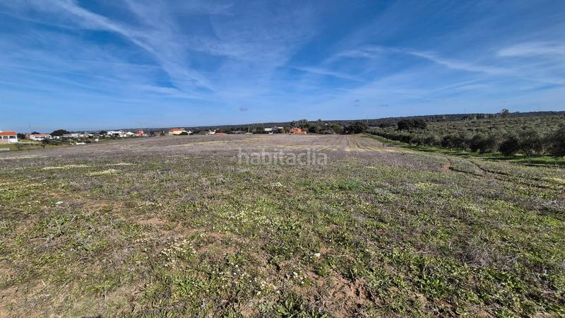 Foto 9dd7f3e5-4379-4866-a1f5-b5cd6f97c2e6. Fondo rustico in Dehesilla de Calamón - Campomanes Badajoz