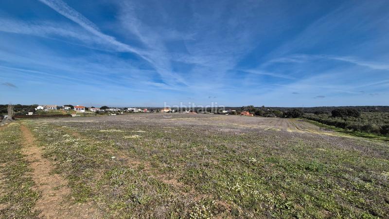 Foto 9f8b0976-2fc5-4212-a9d6-8ea42d1679d3. Fondo rustico in Dehesilla de Calamón - Campomanes Badajoz