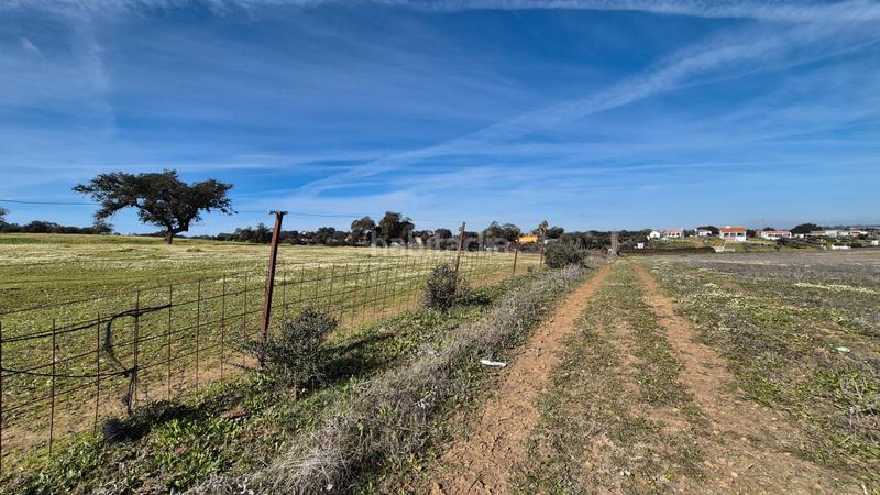 Foto def55641-0b19-443f-92e8-7df2e46d5679. Fondo rustico in Dehesilla de Calamón - Campomanes Badajoz