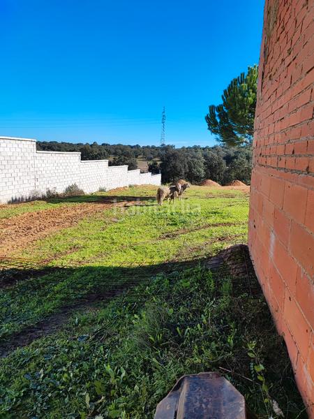 Foto 8d8de539-071e-49cc-982e-896b9a1727af. Chalet mit parking in Dehesilla de Calamón - Campomanes Badajoz