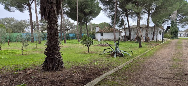 Foto 150c2a4d-b67c-4fb8-bec1-910d1ea4b398. Xalet amb xemeneia calefacció aparcament piscina a Badajoz