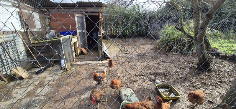 Foto 836a79fd-f7b0-4d20-8a77-2cd14cebf357. Xalet amb xemeneia calefacció aparcament piscina a Badajoz