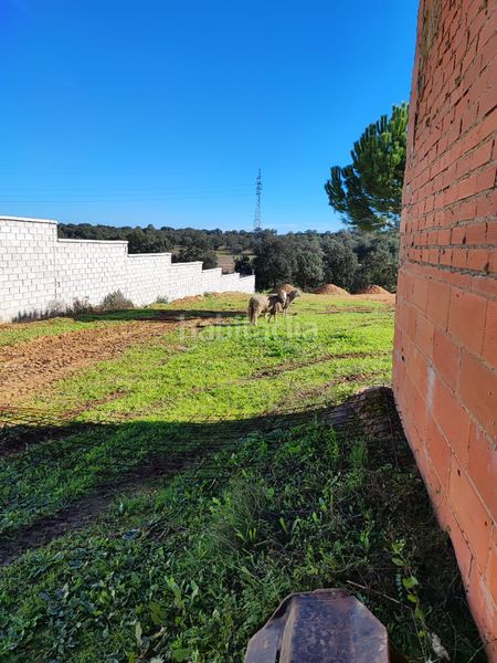 Foto a03a6c41-ffdc-4cca-b7cb-b95a52a14610. Xalet amb aparcament a Dehesilla de Calamón - Campomanes Badajoz