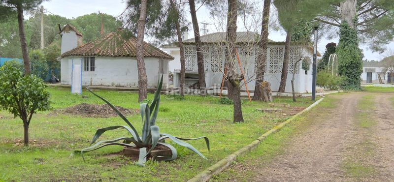 Foto 83fe0dac-6be1-43be-b363-9d0b6ee46ffd. Xalet amb xemeneia calefacció aparcament piscina a Badajoz