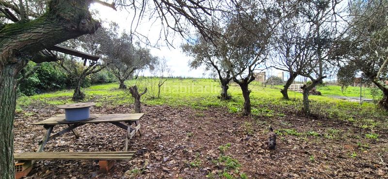 Foto 56dff568-af12-4e1a-bbb1-2b5eaf66ecb8. Xalet amb xemeneia calefacció aparcament piscina a Badajoz