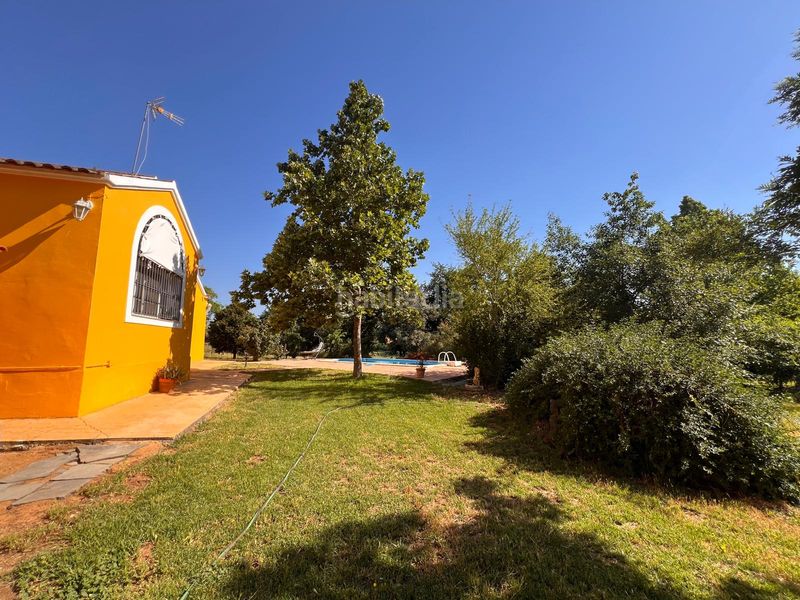 Foto b4710b1e-b8aa-4594-8670-d56f575d90ee. Xalet amb calefacció aparcament piscina a Las Vaguadas Badajoz