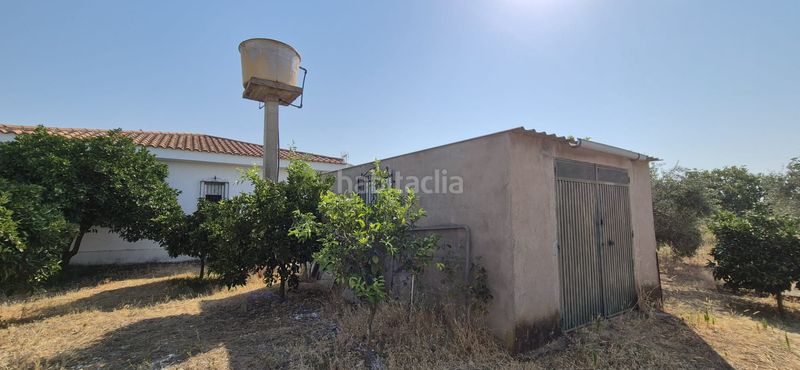Foto 063b0377-d836-48bf-ae9e-bf7269c63838. Xalet amb aparcament piscina a Las Vaguadas Badajoz