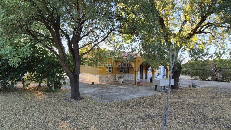 Foto 6cfa400b-91db-40ce-bd71-57400f7dd5ea. Chalet with fireplace parking in Dehesilla de Calamón - Campomanes Badajoz