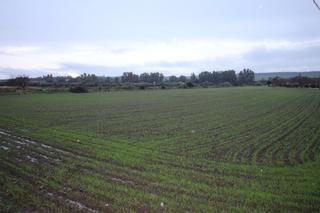 Terreny residencial a Aljucén. Suelo urbano en aljucén