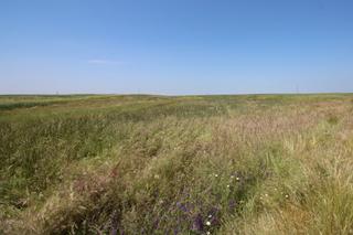 Landgut in Esparragalejo