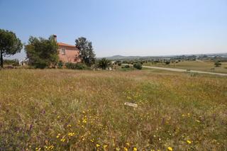 Fondo rustico in Esparragalejo
