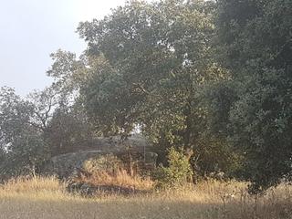 Landgut in Esparragalejo