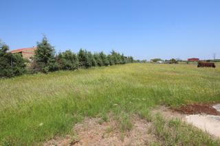 Rural plot in Esparragalejo