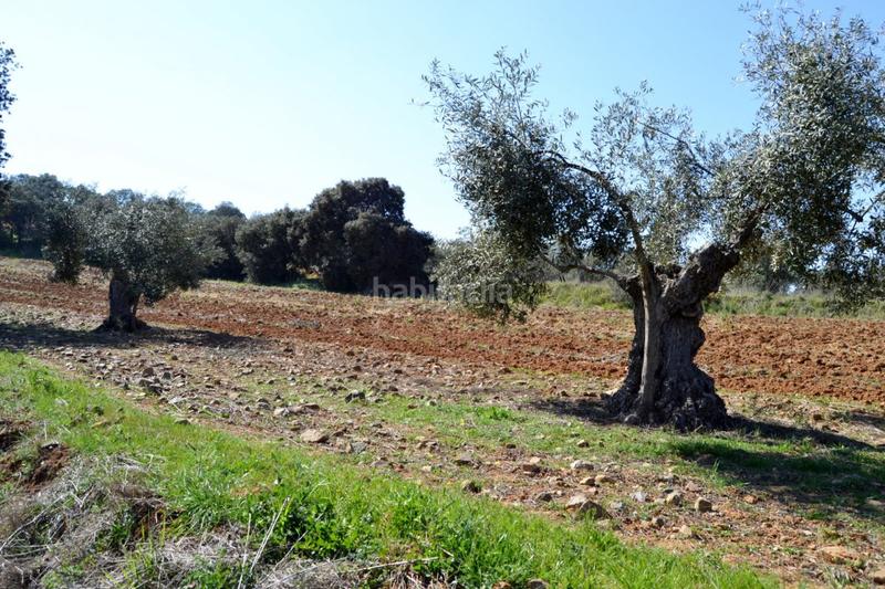 Foto ca120be0-4984-443e-ae4a-32adf2a98789. Finca rústica a Don Álvaro