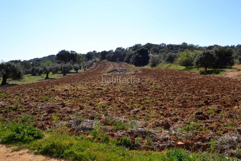 Foto cbfec2bd-2478-4f55-b949-1e489cf22e1f. Finca rústica a Don Álvaro