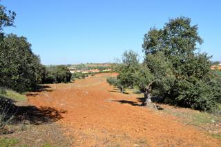 Finca rústica a Don Álvaro. Terreno en alrededores de don álvaro!