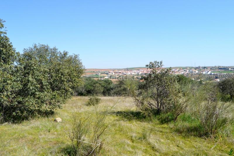 Foto fc5e0f2a-bd31-402e-9691-6dbca2d3ef5a. Finca rústica a Don Álvaro