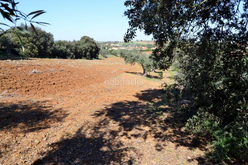 Foto fcd5a359-48a0-4c9f-9562-67e9ff76786c. Finca rústica a Don Álvaro