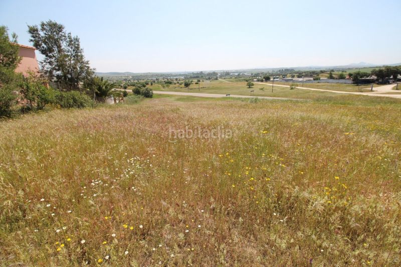 Foto 78a7234e-fa7d-415e-a51d-f22a3e042a58. Finca rústica a Esparragalejo