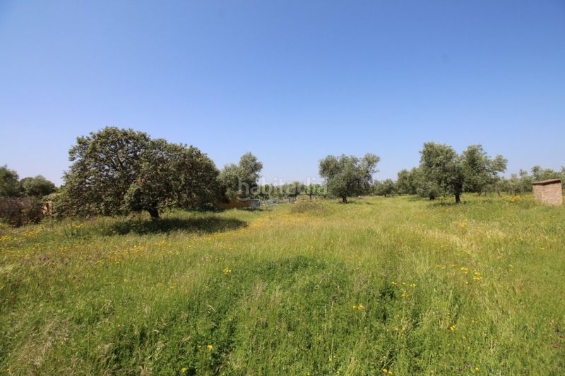 Foto 20f1f632-602d-4233-b9a0-bd3f61b00f5f. Terreny residencial a Esparragalejo