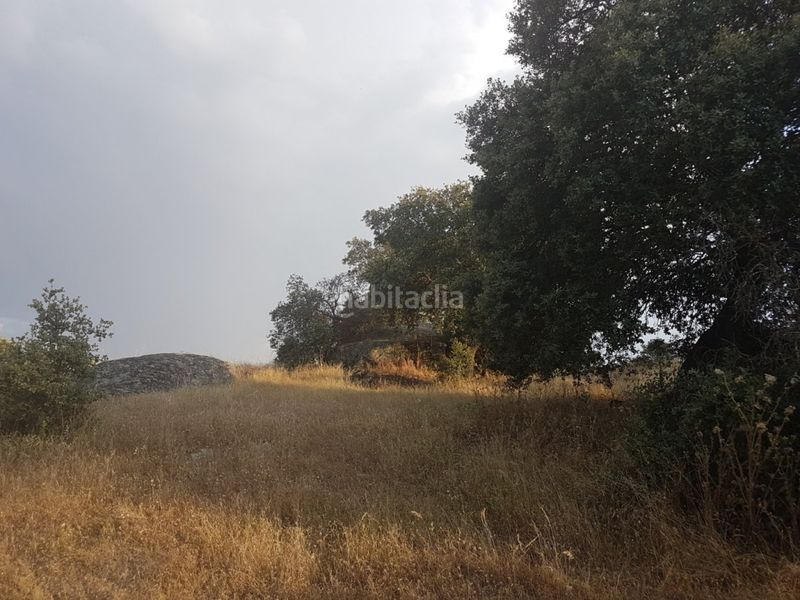 Foto 5da5e3ba-9522-4309-a73b-8d205585d7c6. Finca rústica a Esparragalejo