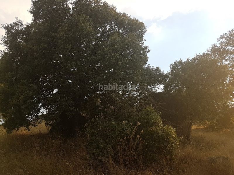 Foto fc7b89a9-0156-4231-95a9-7583f1644328. Finca rústica a Esparragalejo