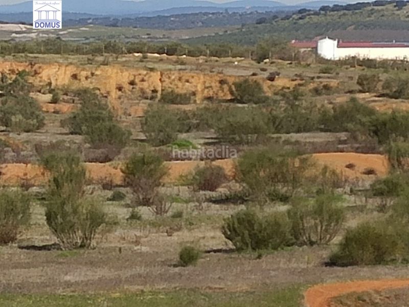 Foto 36f6954a-0b5e-46ff-975b-54f6a7933327. Fondo rustico in Oeste Mérida