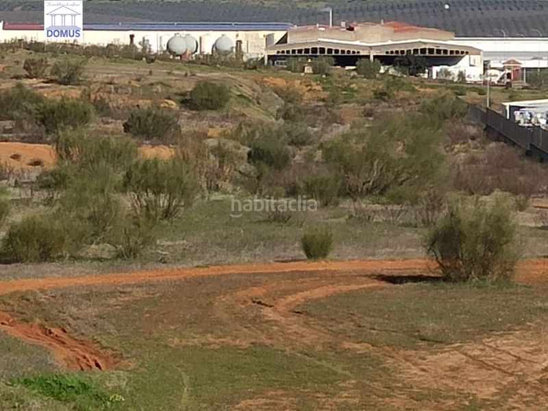 Foto a74c3198-47cf-434c-a9be-d0c424c5e098. Fondo rustico in Oeste Mérida