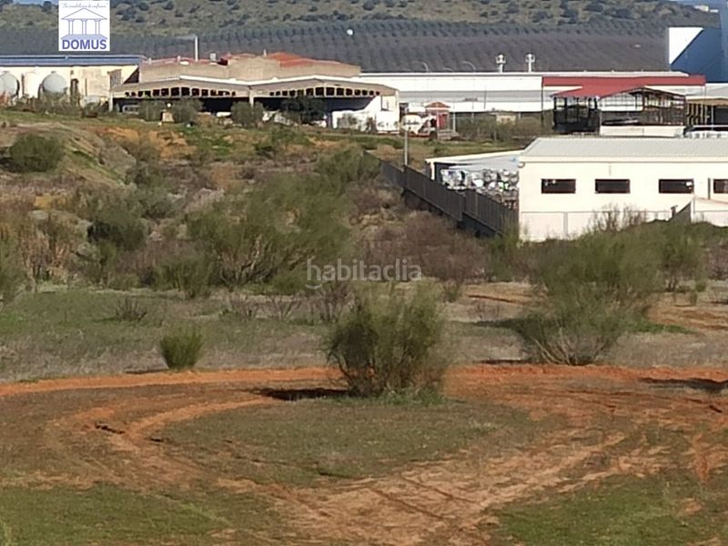 Foto c150aab2-530a-4f93-9f59-5c37b5df55f3. Fondo rustico in Oeste Mérida