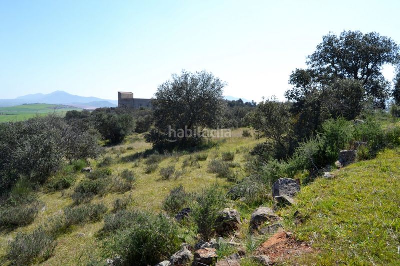 Foto 41433f5c-9545-4335-9d34-2073eb041a84. Finca rústica a Don Álvaro