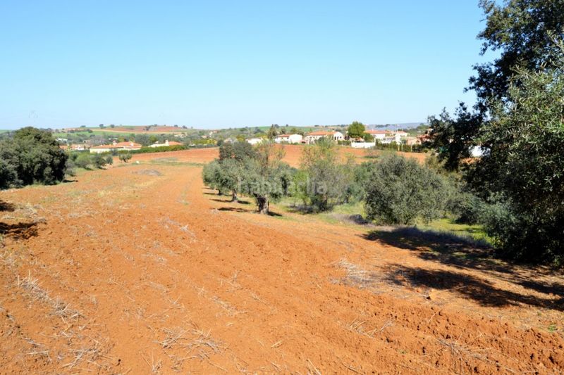 Foto 885d9fa8-269c-4c50-8a29-d9a0e5bc5f8a. Finca rústica a Don Álvaro